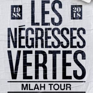 Les Negresses Vertes + Accordemon Les Negresses Vertes + Accordemon