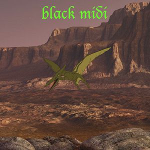 Black Midi Black Midi