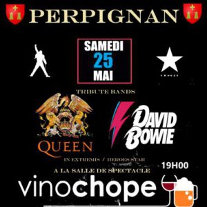 Pararock 2019 - Tribute Queen /David Bowie- Vinochope Pararock 2019 - Tribute Queen /David Bowie- Vinochope