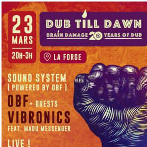 Brain Damage 20 Ans/Obf/Zenzile/Vibronics Brain Damage 20 Ans/Obf/Zenzile/Vibronics