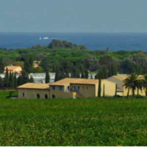 Musicales Dans Les Vignes - Jazz Latino Chateau Des Marres Musicales Dans Les Vignes - Jazz Latino Chateau Des Marres