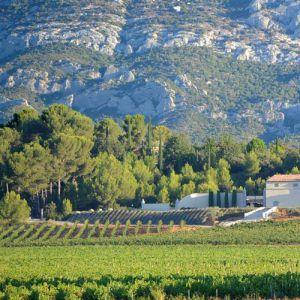 Musicales Dans Les Vignes - Tango Argentin Au Château Gassier Musicales Dans Les Vignes - Tango Argentin Au Château Gassier