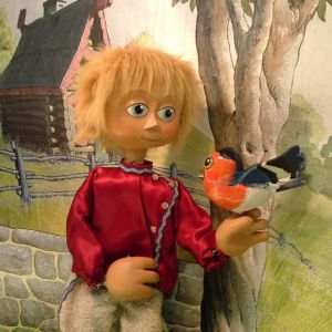 Pierre, L'oiseau Et Le Loup Pierre, L'oiseau Et Le Loup