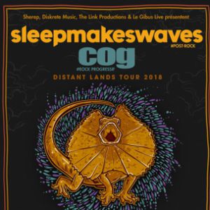 Sleepmakeswaves + Cog Sleepmakeswaves + Cog