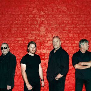 The Stranglers The Stranglers