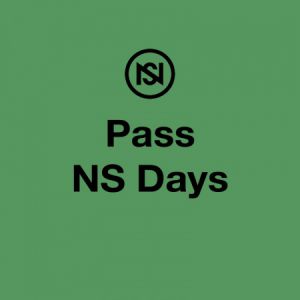 Nuits Sonores : Pass Ns Days Nuits Sonores : Pass Ns Days