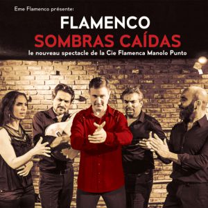 Flamenco Sombras Caidas Flamenco Sombras Caidas