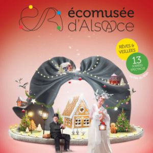 Billet Ecomusee D'alsace Billet Ecomusee D'alsace