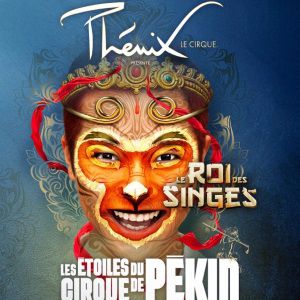Le Roi Des Singes Le Roi Des Singes