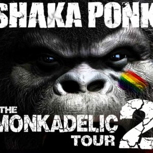 Shaka Ponk Shaka Ponk