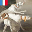 Visite Huis clos en famille - mystère chez les animaux  à VERSAILLES @ 1- Château - Aile des Ministres Nord - Billets & Places