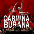 Spectacle CARMINA BURANA &agrave; GRENOBLE @ Le Summum - Billets & Places