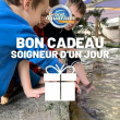 BON CADEAU SOIGNEUR 2021 à Saint-Malo @ Grand Aquarium de Saint-Malo - Billets & Places