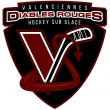 Match Etoile Noire de STRASBOURG vs Diables Rouges de VALENCIENNES @ PATINOIRE L'ICEBERG - Billets & Places