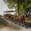 Visite Balades en cal&egrave;ches