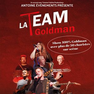 Affiche, La Team Goldman