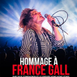 Concert HOMMAGE &Agrave; FRANCE GALL