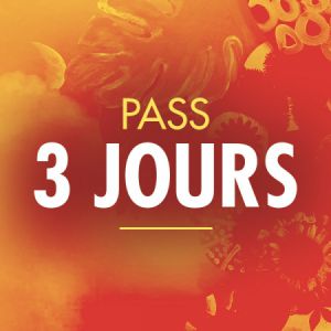 Solidays 2020 - Pass 3 Jours 79 Euros Solidays 2020 - Pass 3 Jours 79 Euros