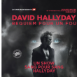 Concert DAVID HALLYDAY