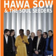 Spectacle HAWA SOW AND THE SOUL SEEDERS à LEVES @ ESPACE SOUTINE NN - Billets & Places