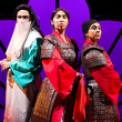 Spectacle MULAN