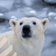 JOURN�E D�COUVERTE DE LA CONSERVATION LE 13 SEPTEMBRE 2026