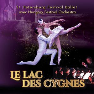 Le Lac Des Cygnes Le Lac Des Cygnes