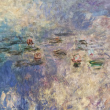 Visite &Agrave; la poursuite du temps avec Monet