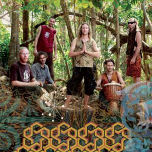 Hilight Tribe Hilight Tribe
