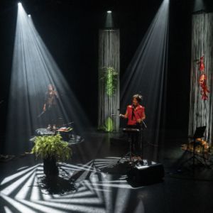 Forêts (NELSON)