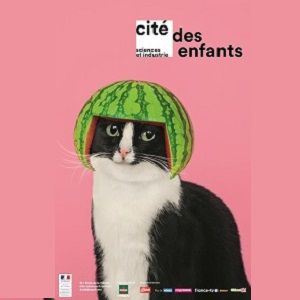 Cité Des Enfants 2-7 Ans Cité Des Enfants 2-7 Ans