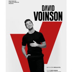 David Voinson