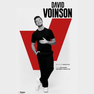 Affiche DAVID VOINSON