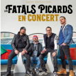 Concert LES FATALS PICARDS + Nordine Le Nordec &agrave; &Eacute;PINAL @ La Souris Verte - Billets & Places