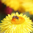 Atelier LA BIODIVERSITE &agrave; VENELLES @ M&eacute;diath&egrave;que  - Billets & Places