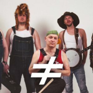 Steve'n' Seagulls