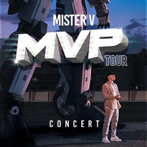 Mister V Mister V