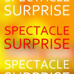 Spectacle Surprise Spectacle Surprise
