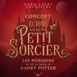 Concert ECHOS DU PETIT SORCIER