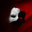 Spectacle LE FANTOME DE L'OPERA