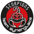 Match Etoile Noire de STRASBOURG vs Scorpions de MULHOUSE @ PATINOIRE L'ICEBERG - Billets & Places