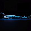 Th&eacute;&acirc;tre LA PROCHAINE FOIS QUE TU MORDRAS LA POUSSI&Egrave;RE  &agrave; LE PLESSIS ROBINSON @ Theatre de l'Allegria - Billets & Places