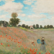 Visite Orsay en fleurs (6-12 ans)