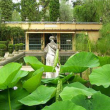 Visite guidée du Jardin Serre de la Madone