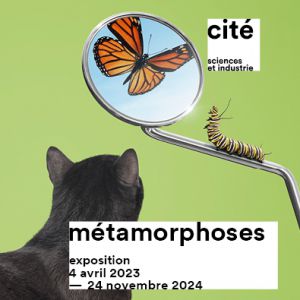 Affiche Métamorphoses