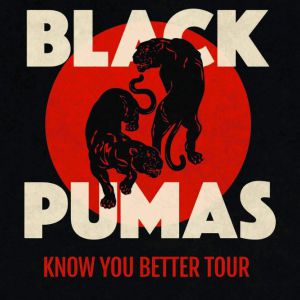 Black Pumas Black Pumas
