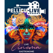 FESTIVAL PELLICU-LIVE 2023 - SAMEDI à THUIR @ PARC PALAUDA - Billets & Places