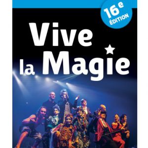 Festival International Vive La Magie à Lille @ Théâtre Sébastopol