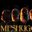 Concert MESHUGGAH + Gorod