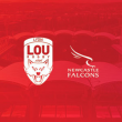 Match LOU RUGBY VS NEWCASTLE FALCONS